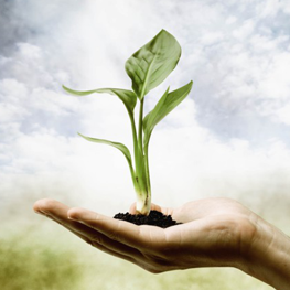 Gestión y Marketing para terapeutas - Marketing consciente