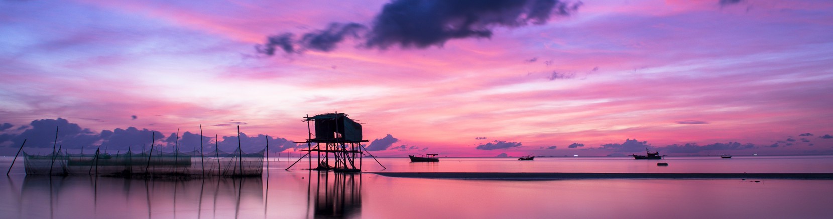 La mirada del terapeuta