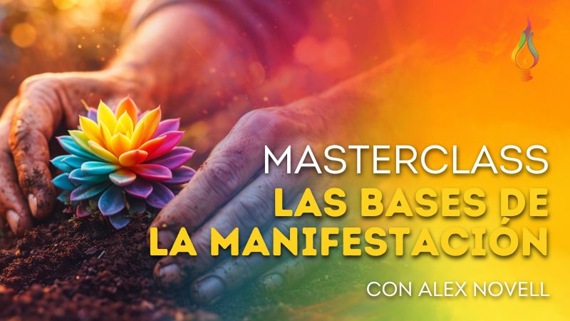 Las Bases de la Manifestación